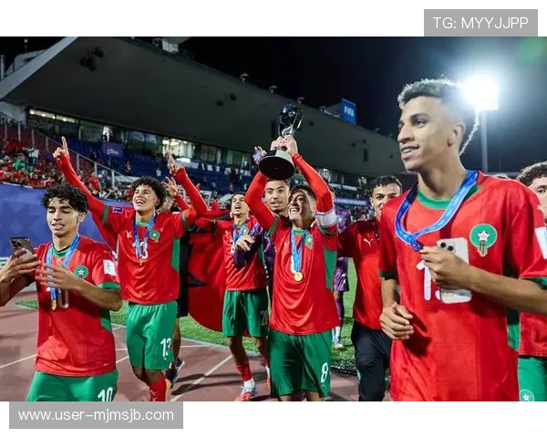 从英语角度全面解读世界杯的英文单词及其在体育报道中的使用技巧